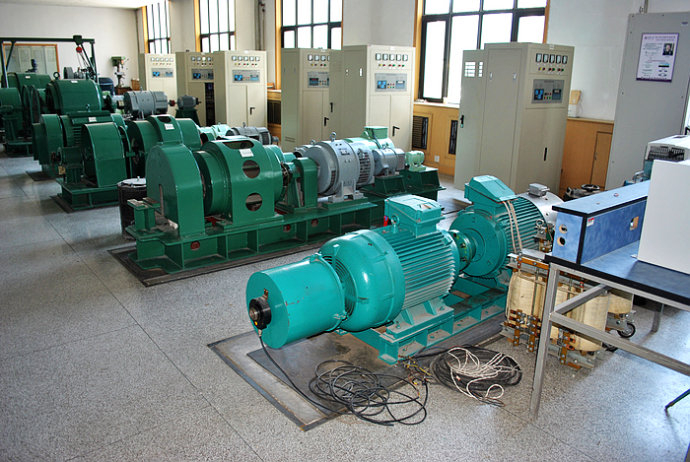 Y4004-4某热电厂使用我厂的YKK高压电机提供动力生产厂家