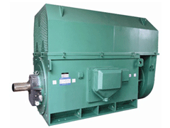 Y4004-4Y系列6KV高压电机